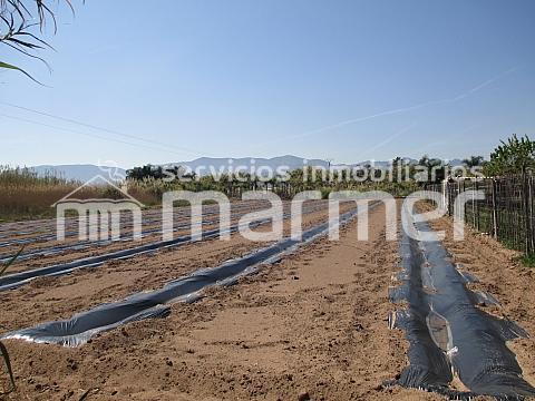 Parcela Urbanizable de 2.277 Metros Cuadrados Zona Marenyet!!!!