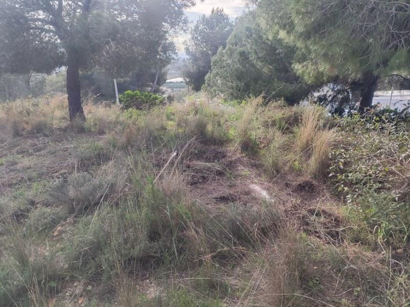 Pueblo de Cullera Parcela Urbana de 750 Metros Cuadrados para la Construcción de la Vivienda Deseada Situada en una Urbanización Oportunidad!!!!