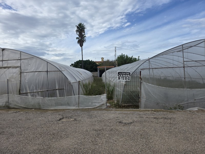 Terreno Rústico de 1.400 Metros Cuadrados con una Casa de aperos a 100 Metros de la Playa del Mareny de San LLorenç Oportunidad!!!!